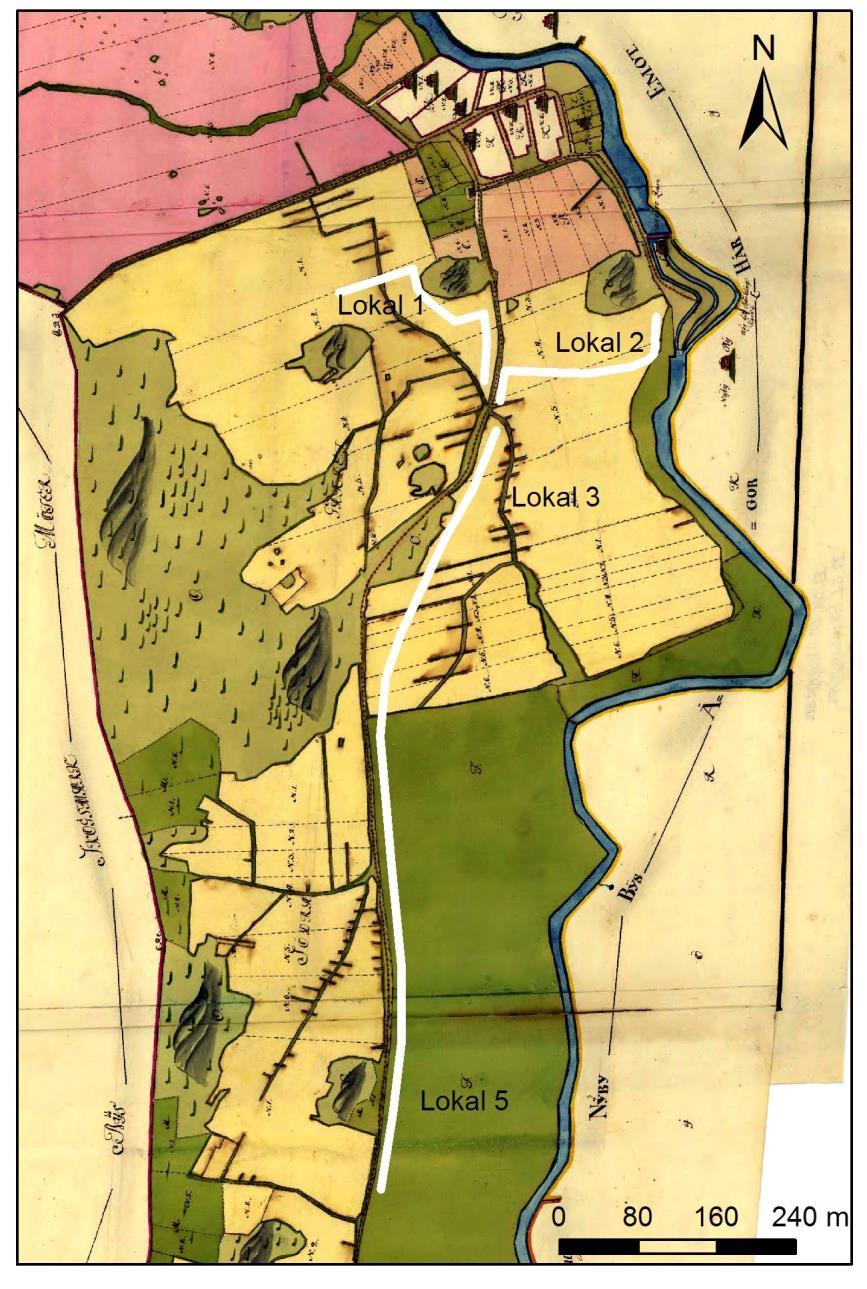 Figur 6. Rektifierat utsnitt ur storskifteskarta över Häggeby från 1764, motsvarande den södra delen av ledningssträckningen (vit linje). Fornlämningslokaler lokaliserade vid utredningen markerade.
