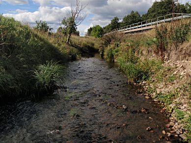 11. Erlandstorpabäcken, Sjöängen Stations EU-CD: SE645717-140817 Vattenförekomst: SE645799-140632 Län: 14 Västra Götaland Vattendragsbredd: 1,2 m Provtagningsmetodik: SS-EN 13946 Medeldjup provyta: