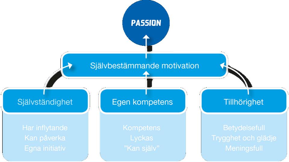 Vi vill vidare belysa och utmana de färdigheter och egenskaper unga spelare ska erövra och utveckla för att kunna möta de krav som vi vet kommer