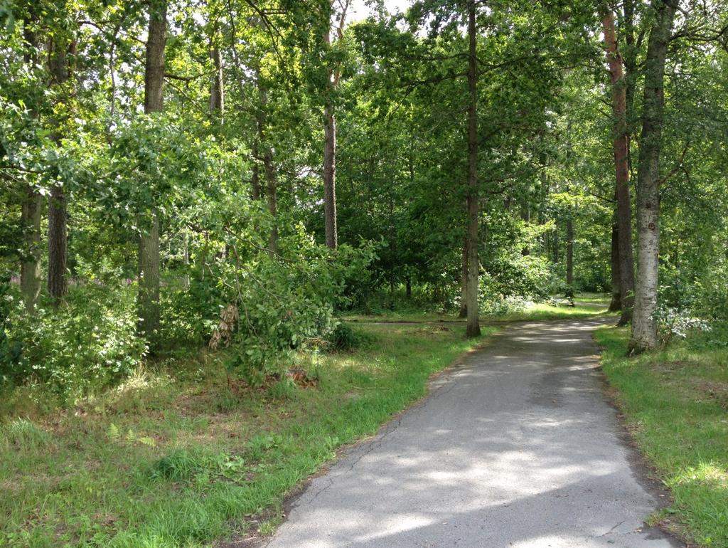 FÖRUTSÄTTNINGAR, FÖRÄNDRINGAR OCH KONSEKVENSER Natur Mark och vegetation Inom planområdets södra del finns ett skogsområde med blandskog.