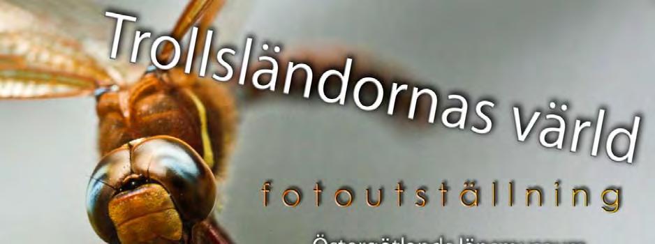 Organiserade aktiviteter inom projektet Säsongen inleddes med en kick-off för deltagarna 18 april på Naturcentrum.