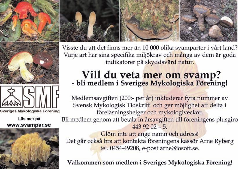 Kirschner, J. & Štěpánek, J. 1998. A monograph of Taraxacum sect. Palustria. Průhonice. Pettersson, B. 1958. Dynamik och konstans i Gotlands flora och vegetation. Acta Phytogeogr. Suec. 40.