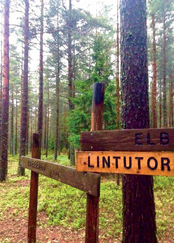 Utfärd med alla sinnen i naturen En rofylld utfärd i närskogen öppnar sinnen på ett nytt sätt. Vi hör och ser bättre vad som händer i skogen. På vintern kan utfärden göras med snöskor.