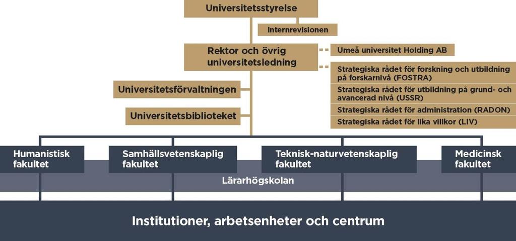 1 Organisation 1.