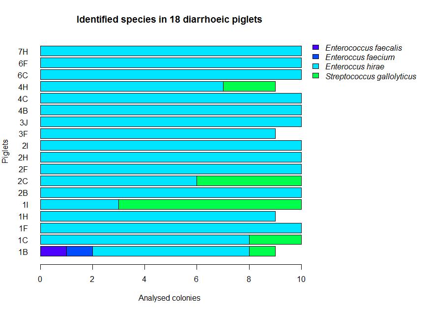 Diagram över artsammansättningen av enterokocker odlade från ändtarmsprover från spädgrisar.