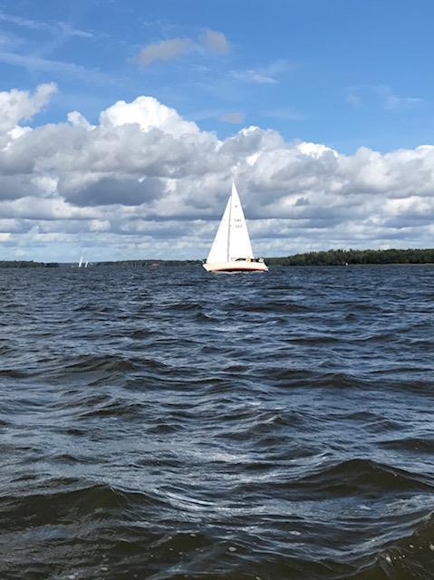 Kräftskiva.