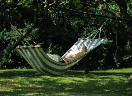 Jag går på semester till midsommar och återkommer