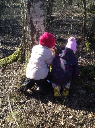 Viktigt i temat är naturligtvis fascinationen för den mångfald som finns i fågelvärlden. Våra rovdjur (åk 4-6), februari Hur ser de ut? Hur lever de? Hur låter de? Hur ser de? Är de farliga?