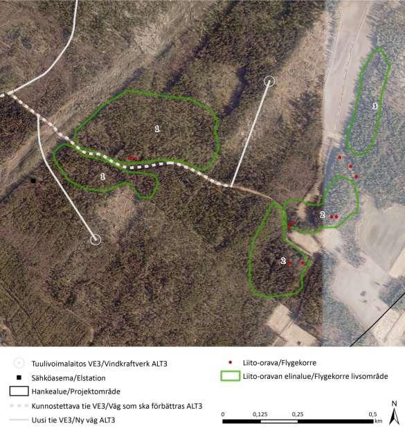 längs vägen måste fällas på ett cirka 4 5 meter brett område. Konsekvenserna gäller cirka en procent av revirets areal och de bedöms inte vara betydande.