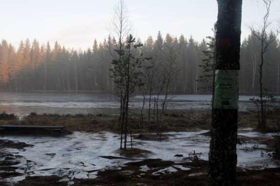Kyrkmossen, Katsmossen och Slätmossen.