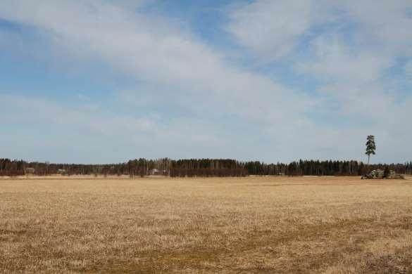 Märkenkalls projektområde omges av stora jämna odlingsområden vid kanterna av å- och älvfårorna.