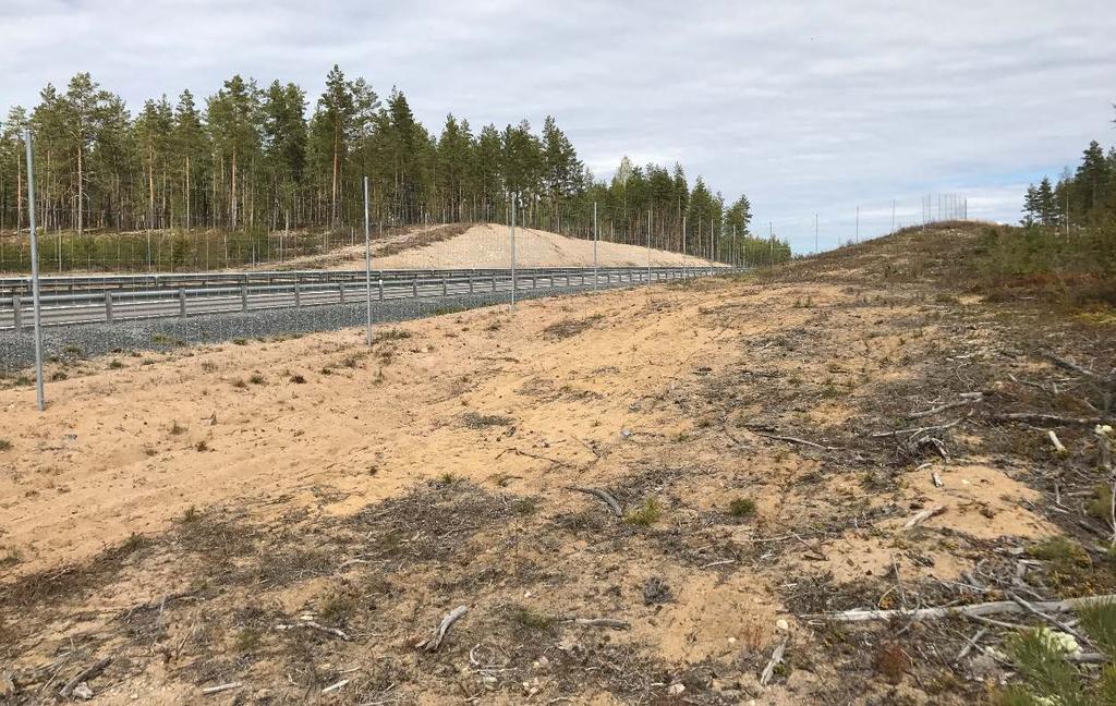 Figur 6. Förekomsten vid Dalkarlsåsen är placerad mycket nära blottade och sandiga partier precis intill väg 56.