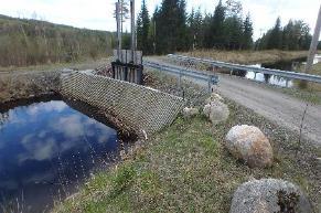 regleringsdammar utan fiskväg är en