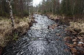 2. Kisstjärnsbäcken Koordinater: 6651342:1454491 6654075:1453669 Undersökt sträcka: Från utflödet i Nya