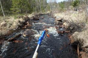 Den är tidigare påverkad av flottrensning och få ställen av lekområden fanns.