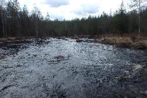 Den är tidigare något påverkad av flottrensning och kvarnar har funnits på flera ställen, bland annat finns lämningar vid Nittkvarn.