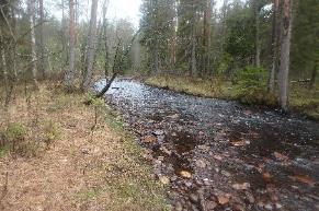 4. Nordtjärnsälven Koordinater: 6649549:1441869 6653644:1438967 Undersökt sträcka: Från