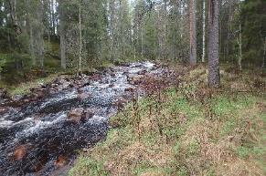 Åns sträcka utgör nyckelbiotop strömmande vattendrag i skog, kvillområden och blockrika