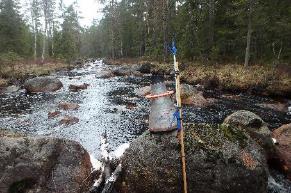 Övrigt: Ån borde ha stora möjligheter för flodpärlmussla, det humusfärgade vattnet är ett