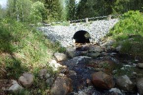 Beskrivning: En liten klar och något humusfärgad bäck med botten av grus och mindre sten.