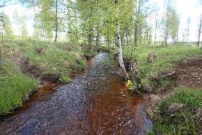 11. Blåmansbäcken Koordinater: 6634912:1460675 6635626:1460816 Undersökt sträcka: Från utflödet i Norrsjön till