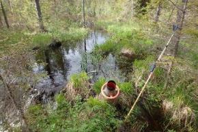 Övrigt: Under inventeringen påträffades flodpärlmusslor på alla platser där nedslag gjordes till strax nedan Lammtjärn.