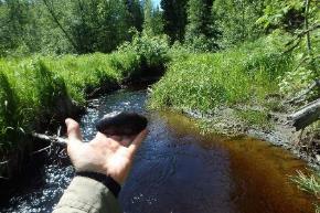 24. Dalkarlsbergsån Koordinater: 6592528:1447863 6691779:1447619 Undersökt sträcka: Från utflödet i Mogruvälven till Sågen