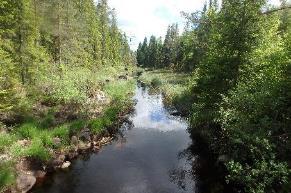 25. Bäckar upp Falkasjön Koordinater: 65980321:1449214 6580465:1449215 Undersökt sträcka: Åkes