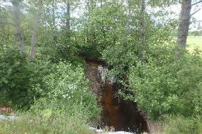 27. Frösvidalån Koordinater: 6579955:1455680 6580410:1452759 Undersökt sträcka: Från Åtorp till Nytorp. Bredd: Ca 4 6 m. Djup: Ca 0,5 m.