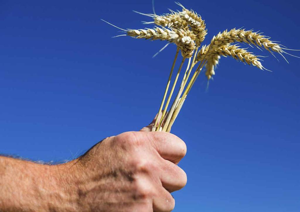 Where farming starts Tillsammans med lantbrukare världen över, har vi spenderat de senaste tre generationerna på att utveckla