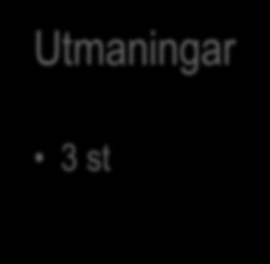 Tydligare styrning mer verkstad