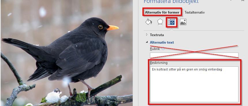 Alternativ text Lägg in alternativ text till