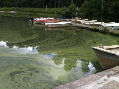 Bakgrund Andel hushåll ej centralt anslutna i