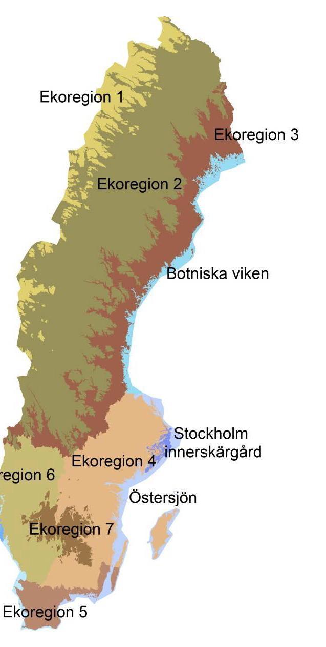 2. Dra bort bakgrundshalten från ditt uppmätta mätvärde. a. Om mätvärdet fortfarande överskrider gränsvärdet = dålig kemisk status. b. Om mätvärdet underskrider gränsvärdet = god kemisk status. d. Gör en rimlighetsbedömning av klassificeringen oavsett utfall a eller b i punkt c-2.