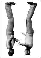 Båda hopparna ben måste vara i kontakt med varandra, utan annan specifikation av benens placering, när hopparna befinner sig i sitt-position. C.