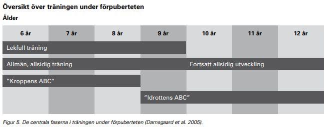 ändamålsenligt sätt, begränsar det hans/hennes val av fysisk aktivitet vid senare nivåer i modellen. Den översta kurvan i figur 6 beskriver tillväxten av hjärnan och nervsystemet.
