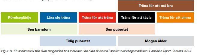 Rekommendationer: Alla som idag erbjuder aktiviteter inom innebandyn behöver se över hur de utvecklar de fysiska, kognitiva och emotionella delarna hos idrottsutövarna; Målet är att skapa
