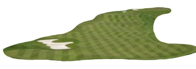 3. Begreppsförklaring 3.1 Fairway Fairway skiljer sig åt mellan olika typer av golfbanor.