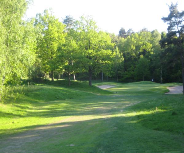 1 Reducerade klipptillfällen Totalt finns fem par tre hål på golfbanan.