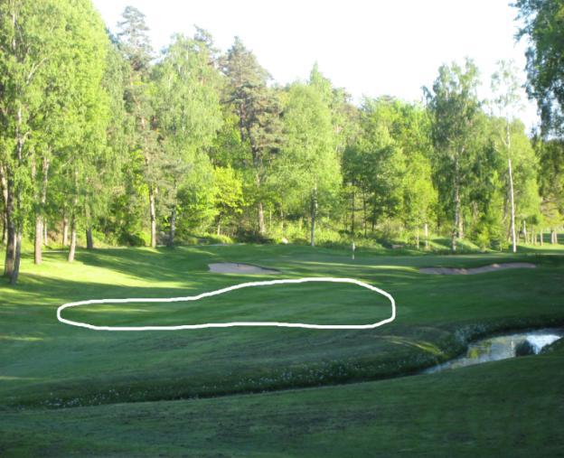 Det faktum att området mellan tee och green på två av par tre hålen (se bild 4 och 5 nedan) utgörs av ruff och inte fairway som är fallet för de andra tre,