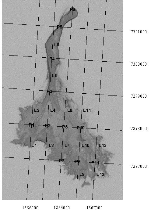 3 2. Verksamheten 2007 Fågelstationens verksamhet 2007 omfattade en inventering på Haparanda Sandskär den 15-17 juni och ringmärkning och fågelobservationer på Haparanda Sandskär under perioden 17