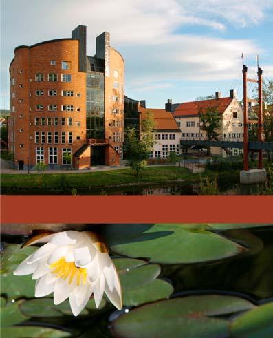 10 år Hyresintäkter 5.