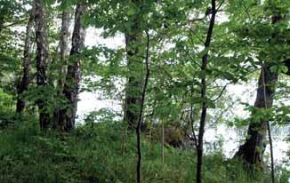 NATURRESERVAT Enligt miljöbalkens 7 kapitel 4-8 får naturreservat bildas för att bevara biologisk mångfald, för att vårda och bevara värdefulla naturmiljöer, för att tillgodose behov av områden för