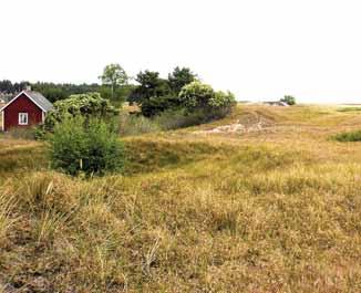 Rv 19 LANDSKAPSBILDSSKYDD Landskapsbildsskyddet infördes på 1970-talet för att på ett enklare sätt än genom reservatsbildning kunna skydda stora områden från större påverkan eller förändring.