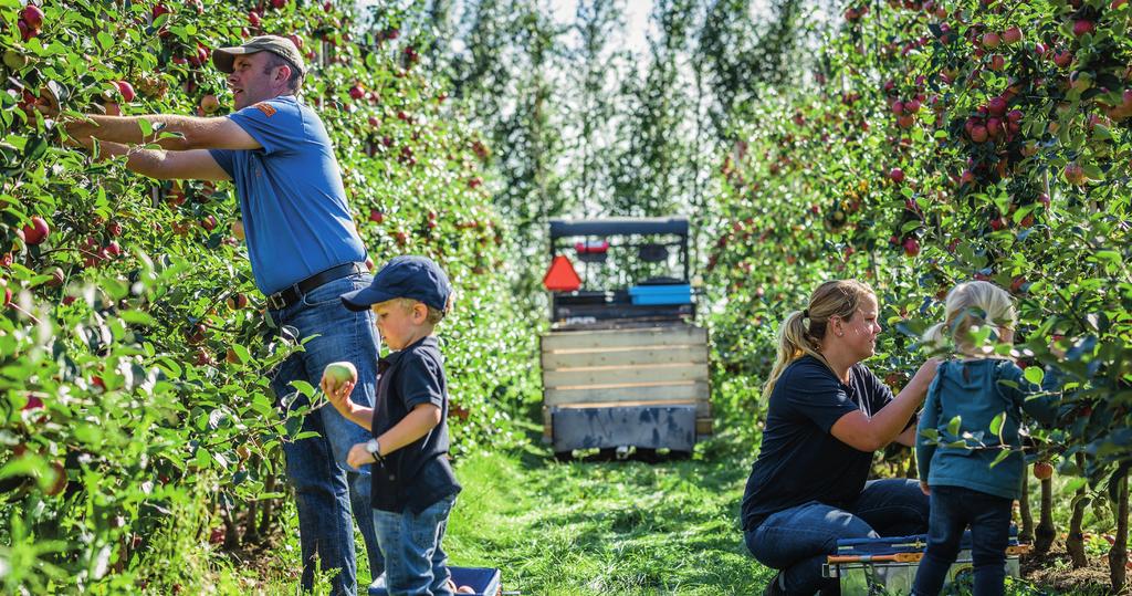 Svensk Fågel internt och kontrollprogram.
