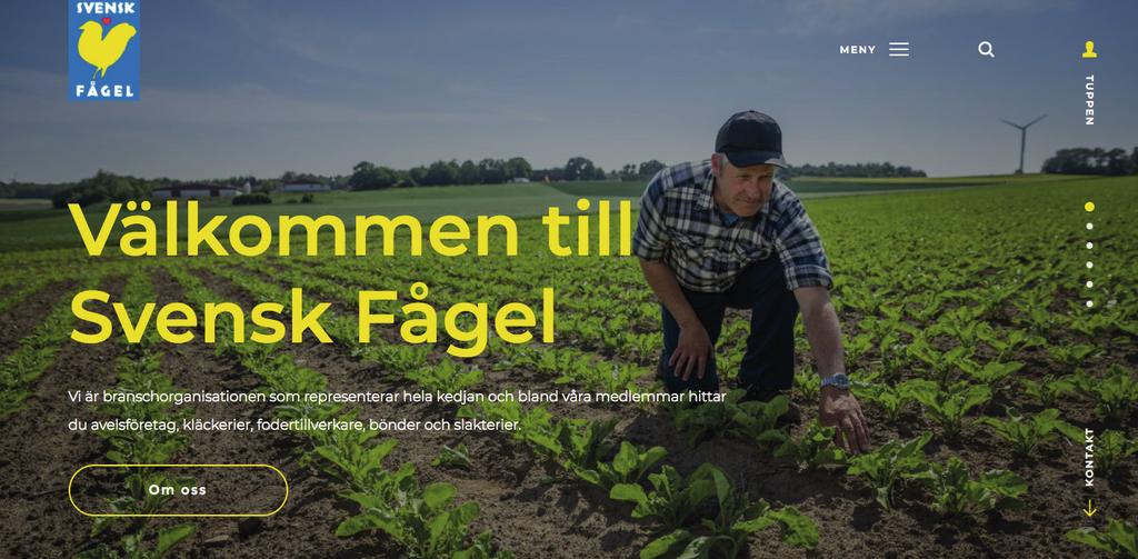 KOM M UNIKATIO N Trots att en klar majoritet vill köpa svensk kyckling är det endast åtta procent av dem som svarat att det är viktigt att kycklingen är svensk som frågar efter ursprungsland när de