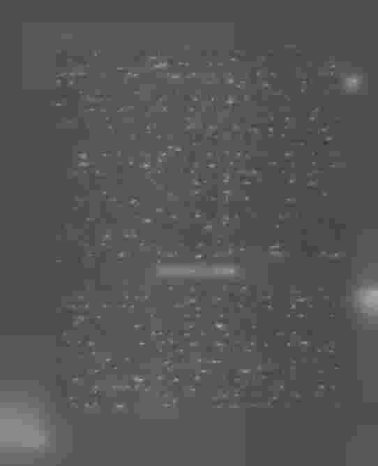 44 25 kapitlet 17 strafflagen rättvist döma häradshöfd ingen Åkerblom till mistning af häradshöfdingeembetet under ett år med förlust af de rättigheter eller förmåner, som med embetet följde;