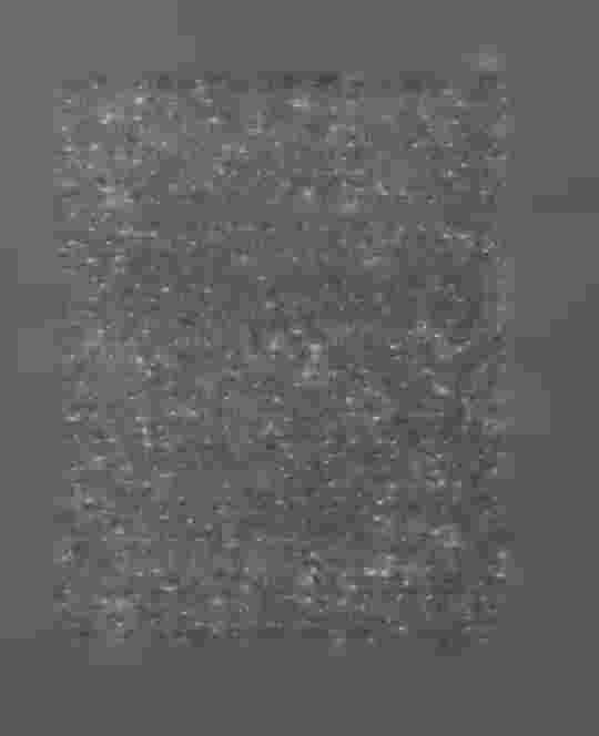 att sedan verifikationsdelarna blifvit skilda från stämplarna, påskrifterna kunnat läsas, hade häradshöfdingen tvifvelsutan användt de vid ingifvande!