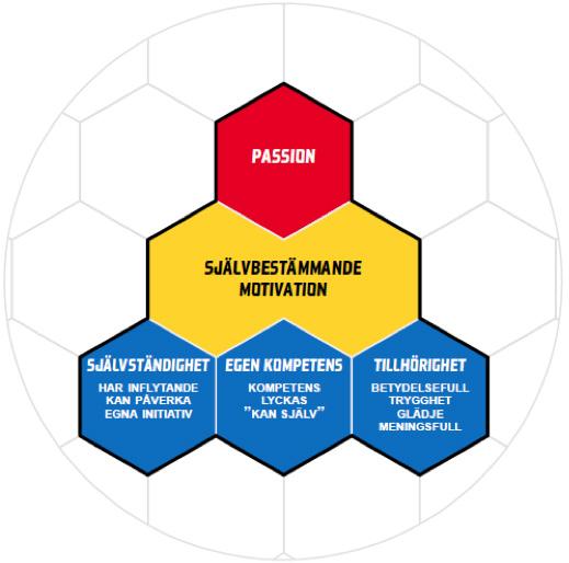 Del 2 Vår spelarutbildning/lärande MOTIVATION OCH PASSION För att få fram duktiga spelare i framtiden är vår viktigaste roll som tränare att skapa självbestämmande motivation, passion och välmående