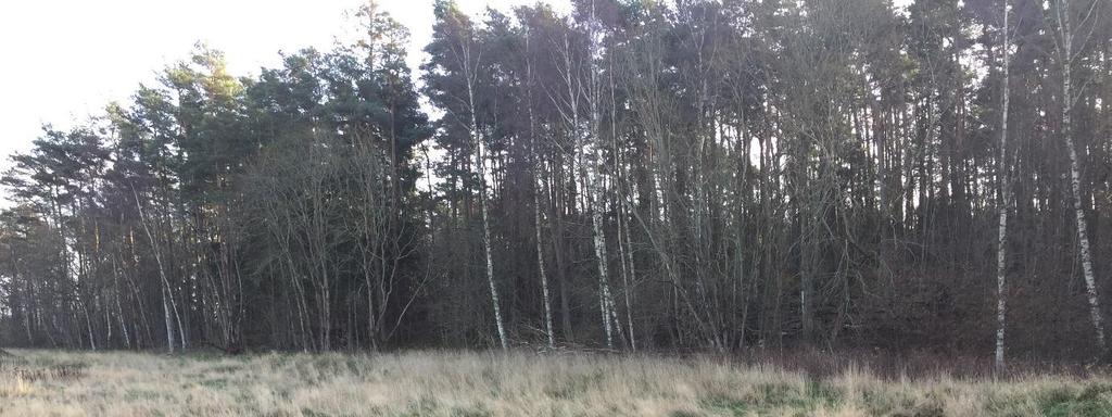 VARBERGS FASTIGHET AB PM